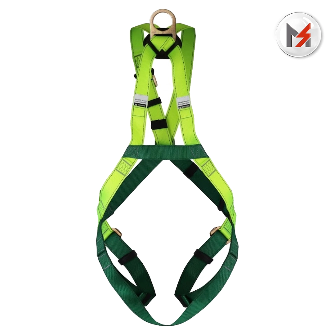 ARNES CON ANILLO D EN ESPALDA Y PECHO BANDA VERDE JYRSA JYRSA JYR-10AEDPD - Mersol Sureste México